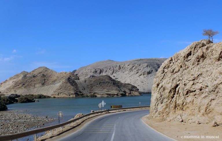 IMG_7445 for blogpost